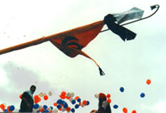 Nishan Sahib being raised