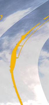 Nishan Sahib reaching for the Aasman